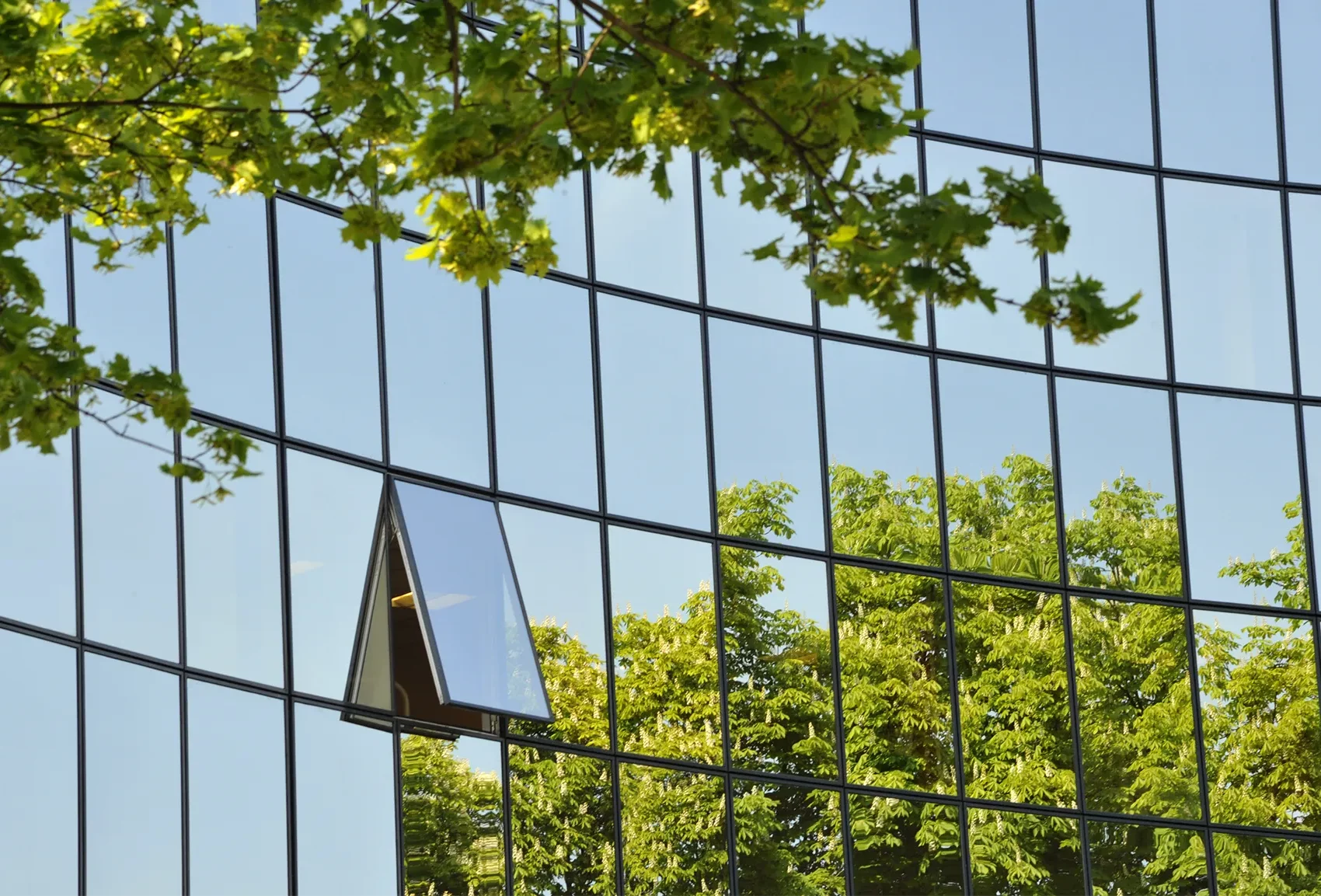 Pose de films solaires extérieurs silver sur un bâtiment professionnel